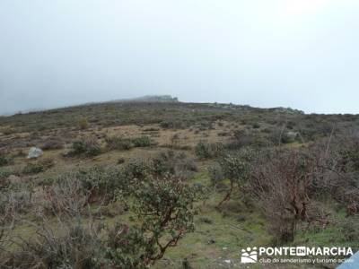 Senderismo Sierra Alto Rey;senderismo de ensueño;programa de actividades senderismo